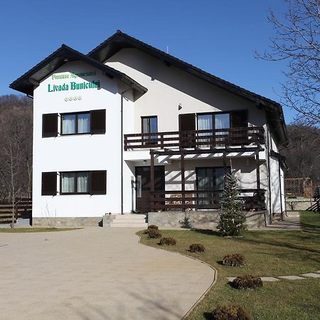 Pensiunea Livada Bunicului Stanesti  외부 사진