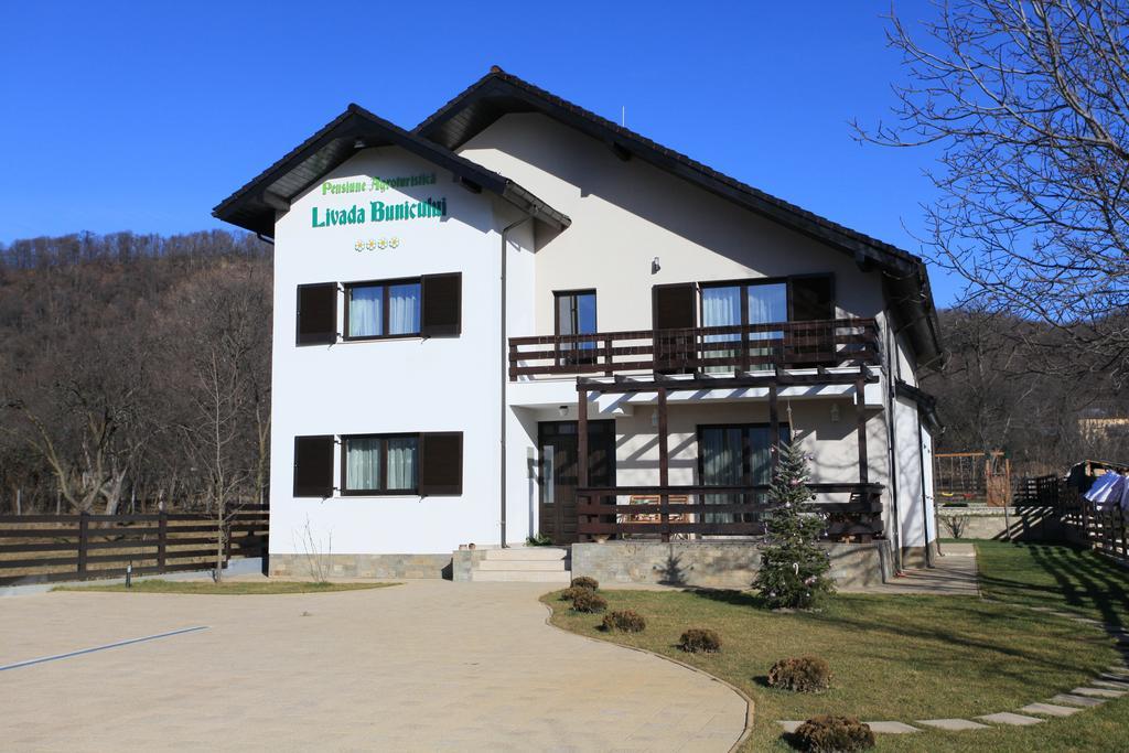 Pensiunea Livada Bunicului Stanesti  외부 사진