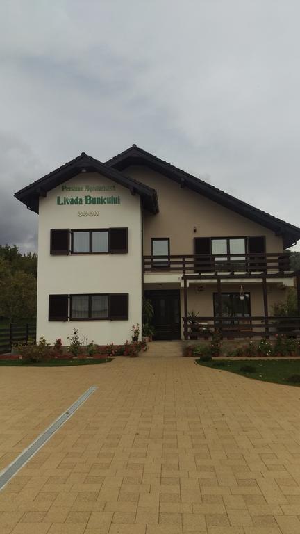 Pensiunea Livada Bunicului Stanesti  외부 사진
