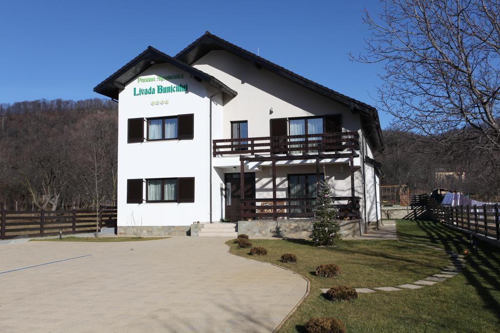 Pensiunea Livada Bunicului Stanesti  외부 사진